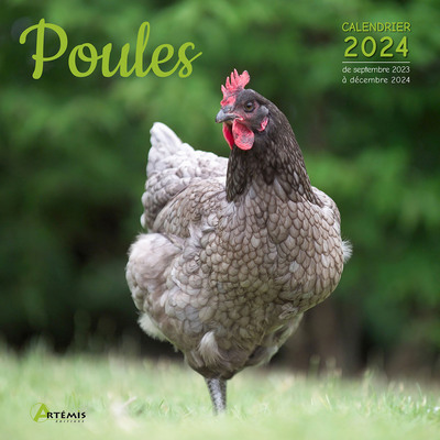 Picture of Calendrier Poules 2024