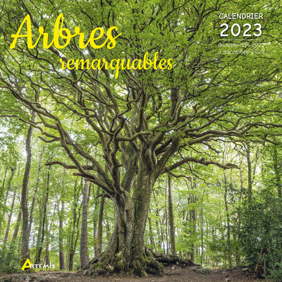 Image de Calendrier arbres remarquables 2023