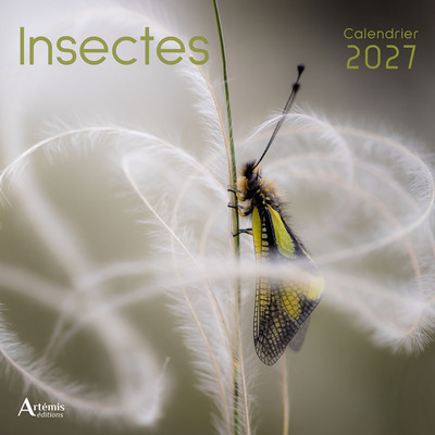 Picture of Calendrier Insectes 2027