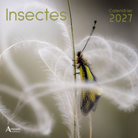 Picture of Calendrier Insectes 2027