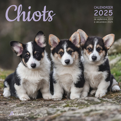 Picture of Calendrier Chiots 2025