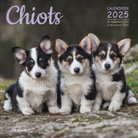 Picture of Calendrier Chiots 2025