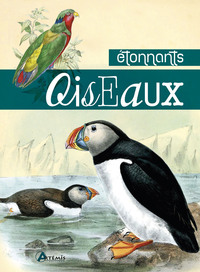 Image de Étonnants oiseaux