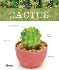 Image de Cactus