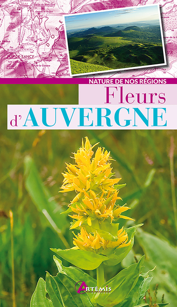 Picture of Fleurs d'Auvergne