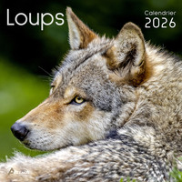 Picture of Calendrier loups 2026