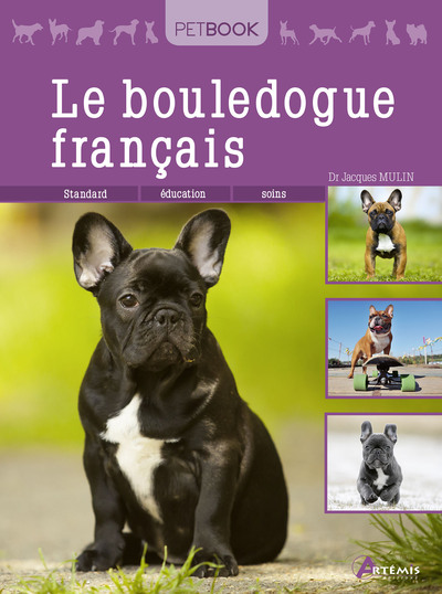 Image de Le bouledogue français