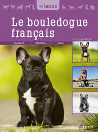 Image de Le bouledogue français