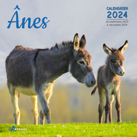 Picture of Calendrier Ânes 2024
