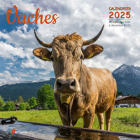 Picture of Calendrier Vaches 2025