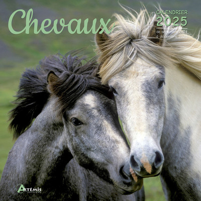 Picture of Calendrier Chevaux 2025