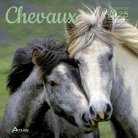 Picture of Calendrier Chevaux 2025