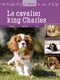 Picture of Le cavalier king Charles
