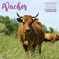 Picture of Calendrier Vaches 2022