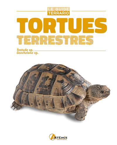 Picture of Tortues terrestres