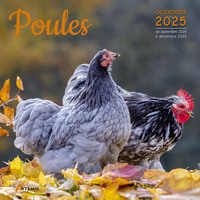 Picture of Calendrier Poules 2025