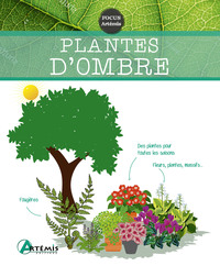 Image de Plantes d'ombre