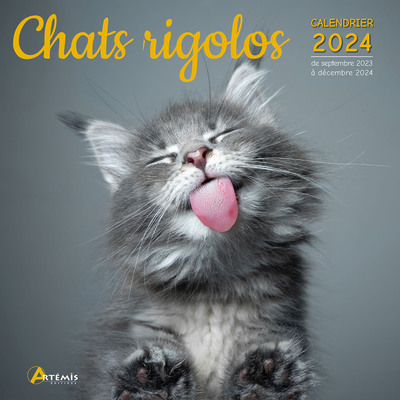 Picture of Calendrier Chats rigolos 2024