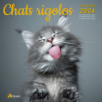 Picture of Calendrier Chats rigolos 2024