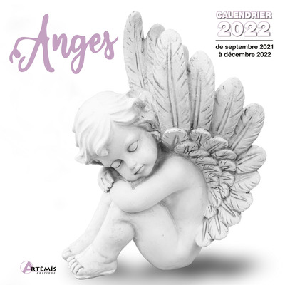 Picture of Calendrier Anges 2022