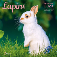 Image de Calendrier lapins 2023