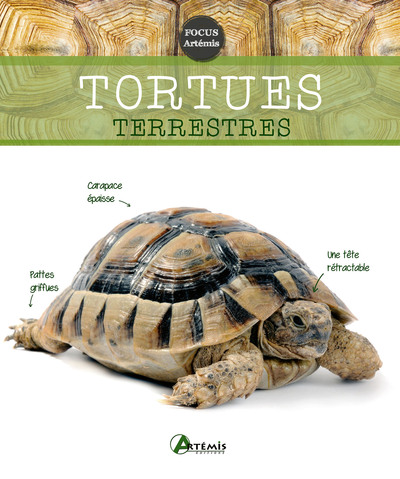 Picture of Tortues terrestres