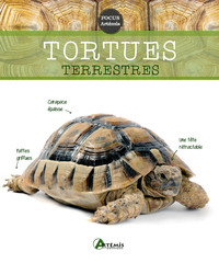 Picture of Tortues terrestres