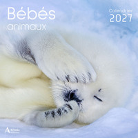 Picture of Calendrier Bébés animaux 2027