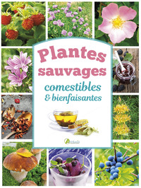 Picture of Plantes sauvages comestibles et bienfaisantes