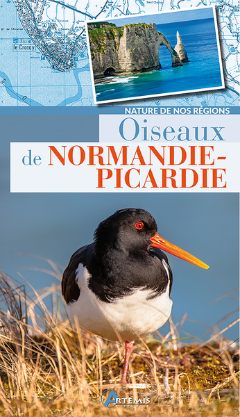 Image de Oiseaux de Normandie-Picardie