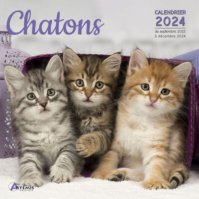 Picture of Calendrier Chatons 2024