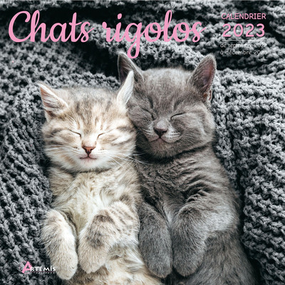 Image de Calendrier chats rigolos 2023