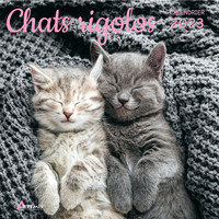 Image de Calendrier chats rigolos 2023