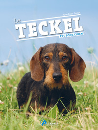 Image de Le teckel