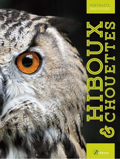 Picture of Hiboux & chouettes