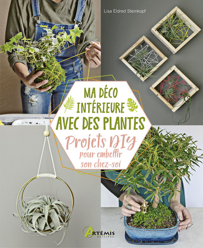 Image de Ma déco intérieure avec des plantes