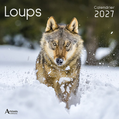 Picture of Calendrier Loups 2027