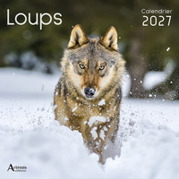 Picture of Calendrier Loups 2027