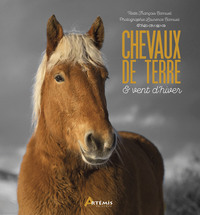 Image de Chevaux de terre et vent d'hiver