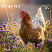 Picture of Calendrier poules 2026