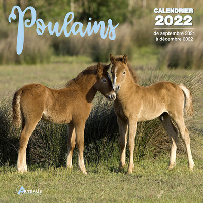 Picture of Calendrier Poulains 2022