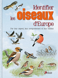 Image de Identifier les oiseaux par leur comportement, leur habitat, etc.