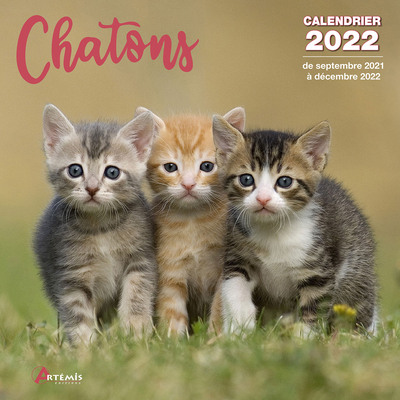 Picture of Calendrier Chatons 2022