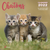 Picture of Calendrier Chatons 2022