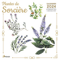 Picture of Calendrier Plantes de sorcière 2024