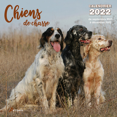 Picture of Calendrier Chiens de chasse 2022