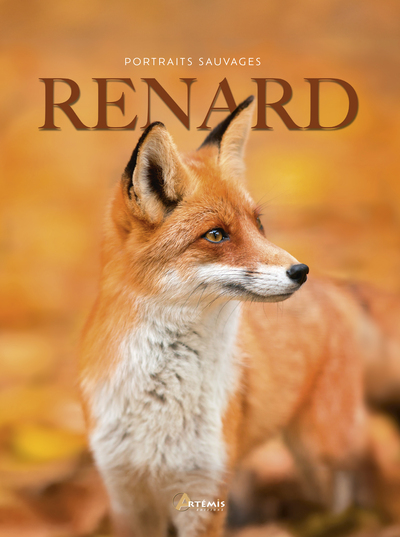 Picture of Renard