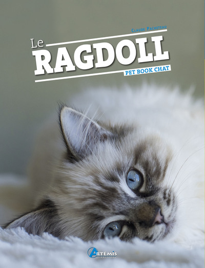 Image de Le ragdoll