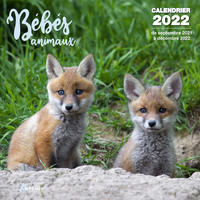 Picture of Calendrier Bébés animaux 2022