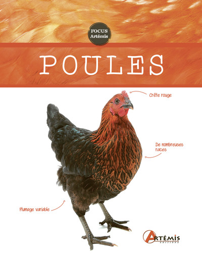 Image de Poules